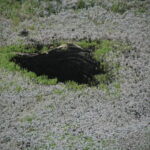 Mauritius vulkaantrechter Trou aux Cerfs